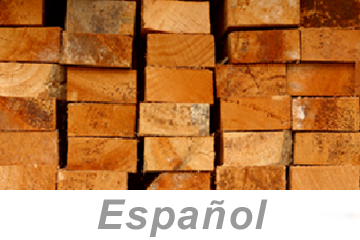 Materials Handling for Construction (Spanish), PS4 eLesson